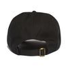 All Politicians Lie Hat